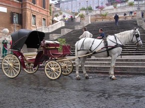 noleggio matrimonio roma carrozza con cavalli